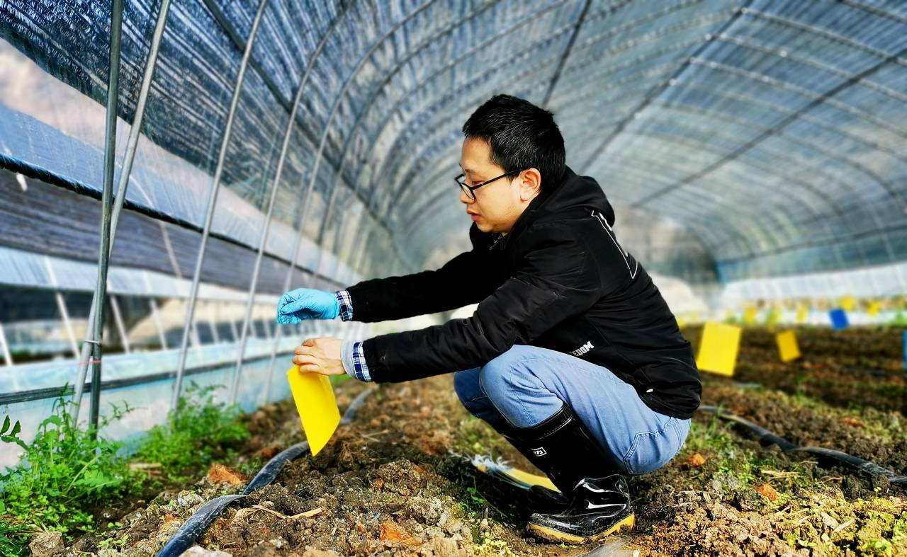 扎根田野，書寫大地——記貴州理工學院教授柏松的自然科學研究之路