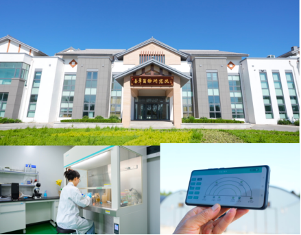 從千年仙草到冬日暖方 現(xiàn)代科技解鎖傳統(tǒng)草本的內(nèi)在滋養(yǎng)智慧